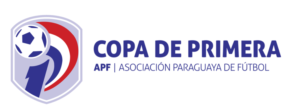 Overview of Paraguay Division Profesional